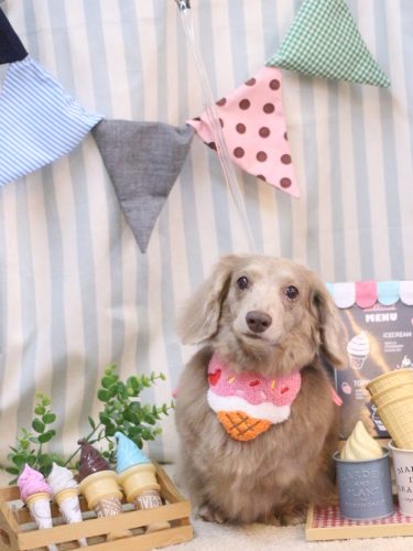 20250509ぺこちゃん